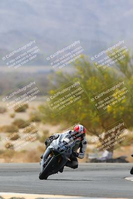 media/Apr-10-2022-SoCal Trackdays (Sun) [[f104b12566]]/Turn 5 Tree of Life (1040am)/